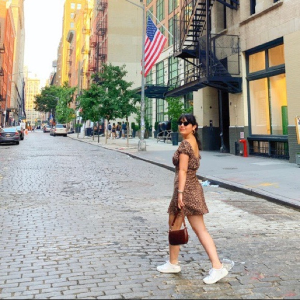 Reformation Leopard Print Dress